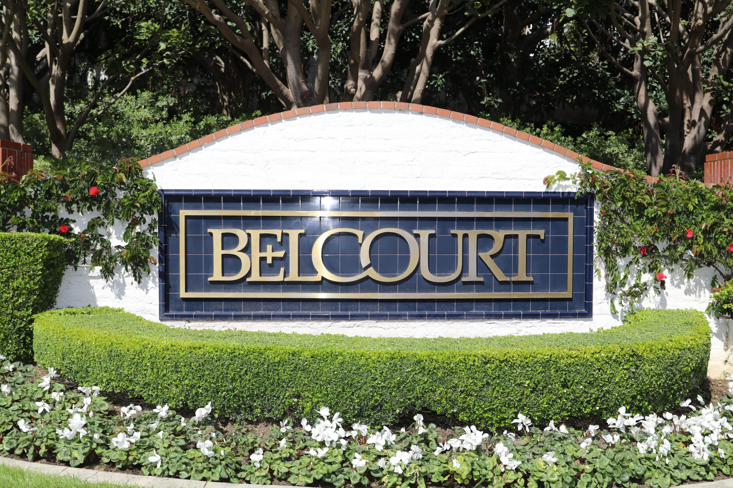 Belcourt